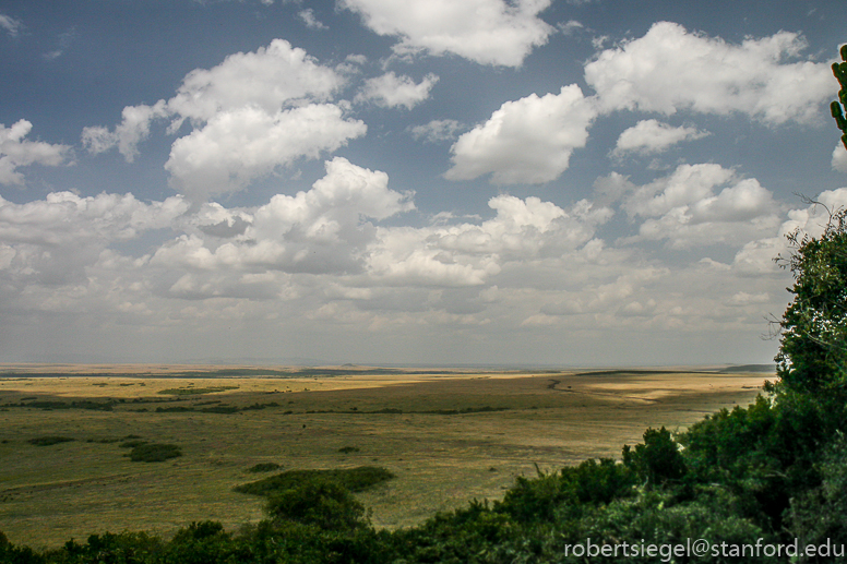 masai mara